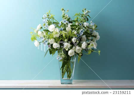 Blue background and white rose and Blue star and smileux 23159211