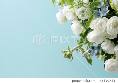 Blue background and white rose and Blue star and smileux 23159214