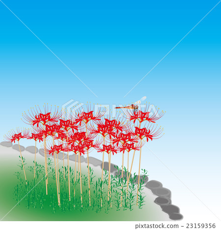 Higankafa blue sky Higankafa blue sky 23159356