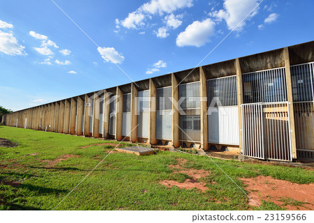 Brazilian Brasilia University of Brasilia Brazilian Brasilia University of Brasilia 23159566