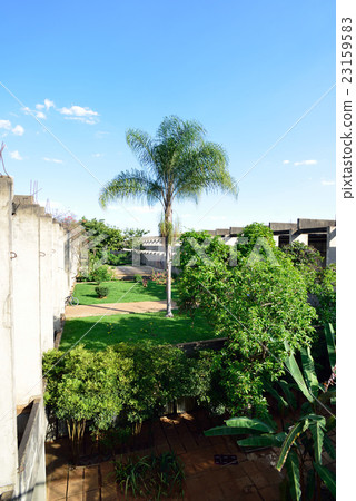 Brazilian Brasilia University of Brasilia Brazilian Brasilia University of Brasilia 23159583