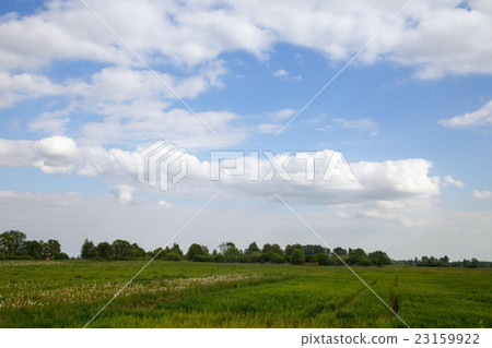 sky over rural field sky over rural field 23159922