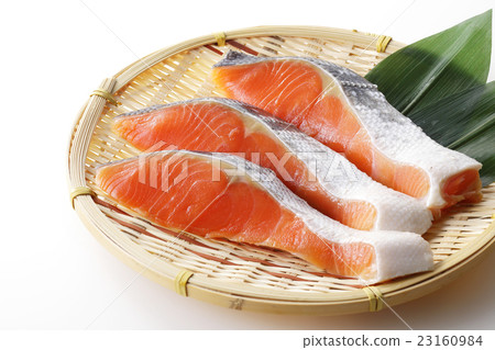 salmon  23160984
