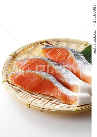 salmon  23160985