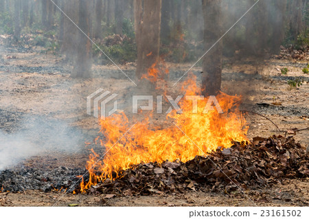 nature disaster nature disaster 23161502