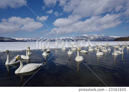 沙浴吞嚥 23161920