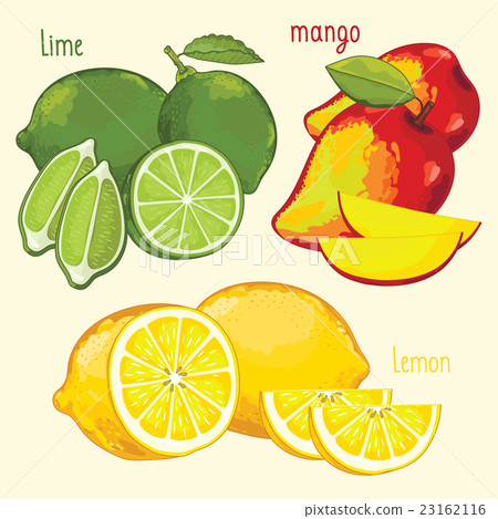 Fresh fruit mix isolated, vector illustration 23162116