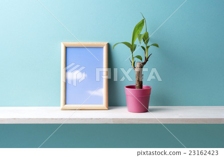 Blue background and foliage Plants and forehead 23162423