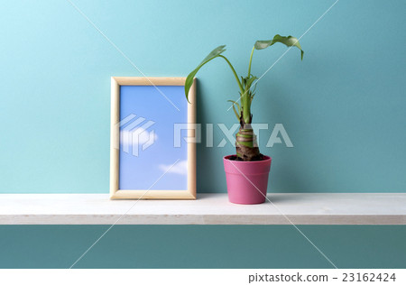 藍色背景和葉子植物和前額 23162424
