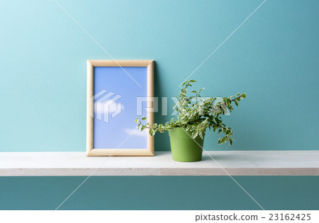 藍色背景和葉子植物和前額 23162425