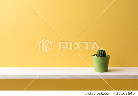 Yellow background and foliage plants Yellow background and foliage plants 23162640