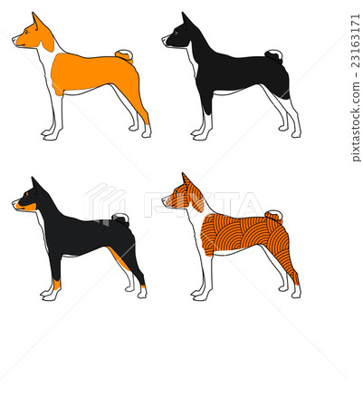 Vector set of dogs basenji breed , all colors 23163171