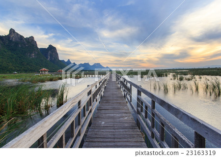 Wooden Bridge in lotus lake Wooden Bridge in lotus lake 23163319
