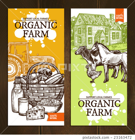 Organic Farm Vertical Banners 23163472