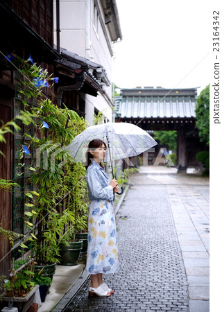 女人在雨季女人在雨季日本外觀牽牛花鵝卵石 23164342