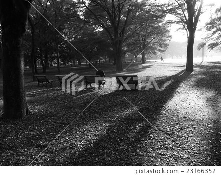 Disappointment Disappointment 23166352