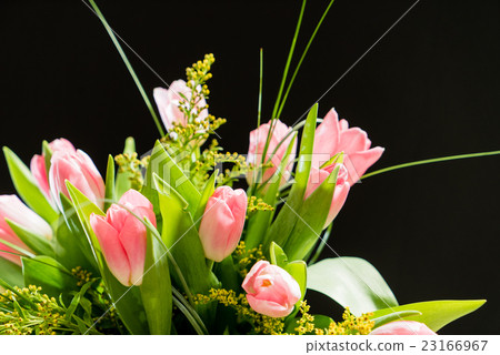 spring flowers spring flowers 23166967