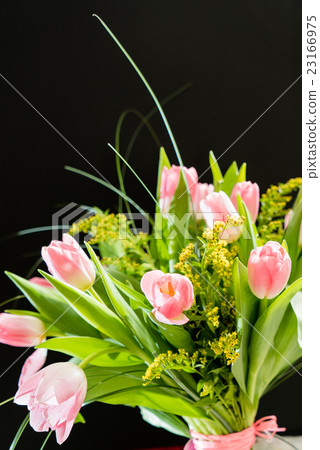 spring flowers spring flowers 23166975