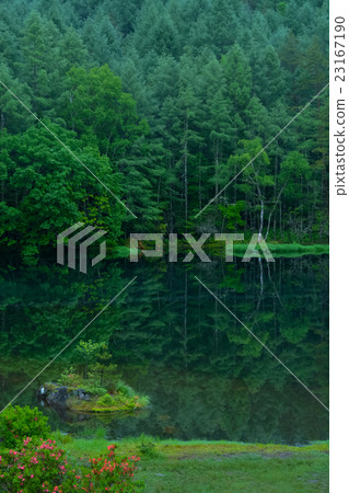 Shark pond (83) 23167190