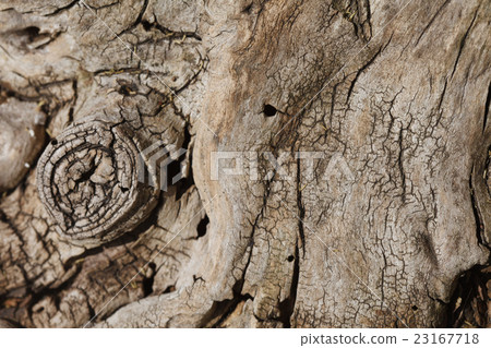 wooden texture 23167718