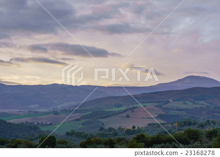 Tuscany landscape Tuscany landscape 23168278