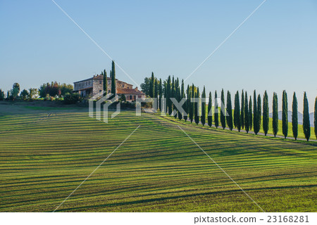 Tuscany landscape Tuscany landscape 23168281