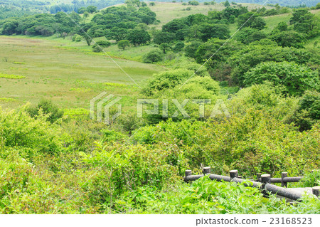 Kirigamine Hachiagahara Marsh Kirigamine Hachiagahara Marsh 23168523