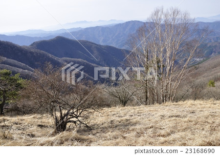 Mt. Sanbata and Tanzawa distant view from Takanoosan 23168690