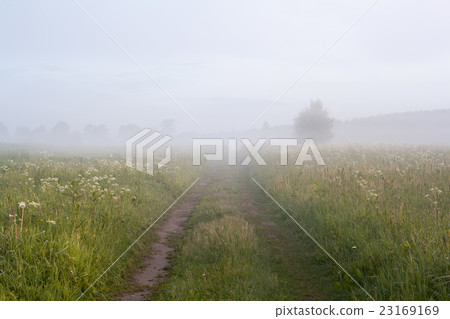 road to fog road to fog 23169169