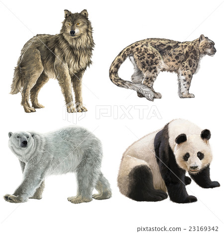 Rare Animals-稀有動物 23169342