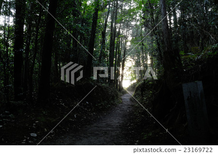 Road around the mountain 23169722