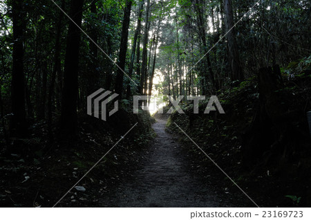 Road around the mountain 23169723