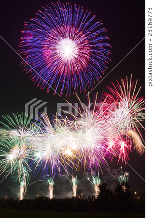 煙花 煙花 23169773