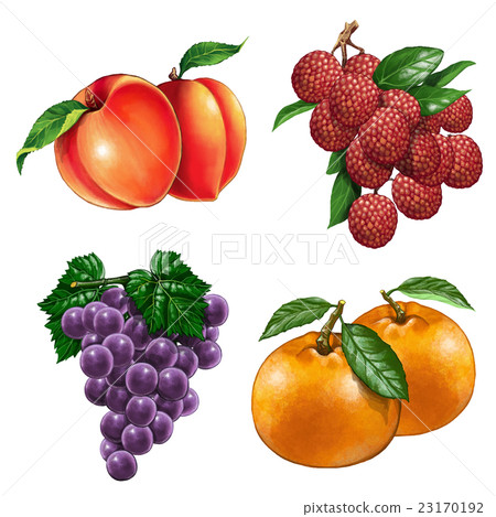 Vegetables and fruits-2 23170192