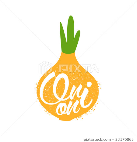 Onion Name Of Vegetable Written In Its Silhouette 23170863