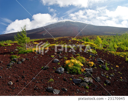 中途富士 23170945