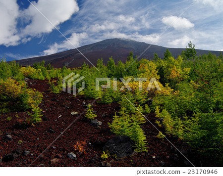 Midway way Fuji 23170946