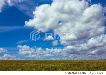 Ukrainian landscape 23171421