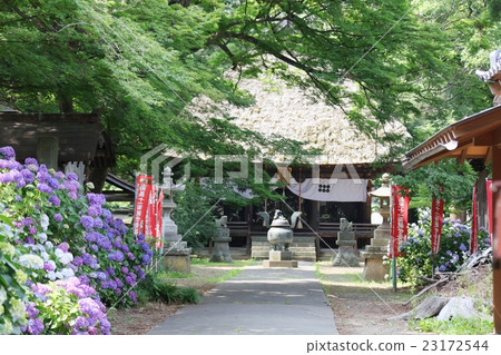 Hydrangea Temple in Chikuma City 23172544