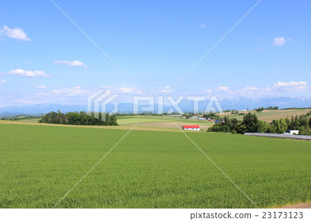 Biei ~ Road of patchwork ~ Biei ~ Road of patchwork ~ 23173123