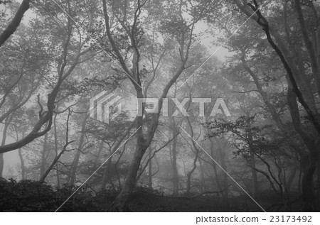 Nikko Shirane vol. Nikko Shirane vol. 23173492