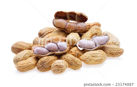 Peanut isolated on white background 23174887