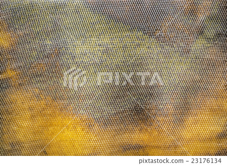 Pattern and texture of dry rubber sheet Pattern and texture of dry rubber sheet 23176134