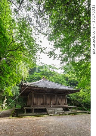 Fujiroji Odo 23176332