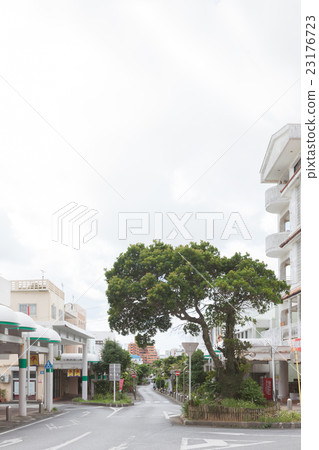 Central Park Avenue Okinawa City Koza 23176723