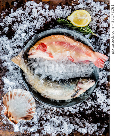 fresh fish fresh fish 23178261