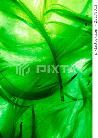 Color feathers Color feathers 23179012