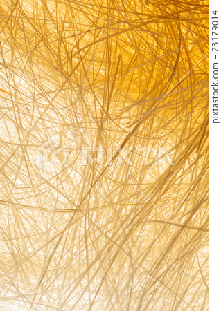 Natural sisal Natural sisal 23179014