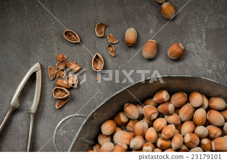 hazelnuts hazelnuts 23179101