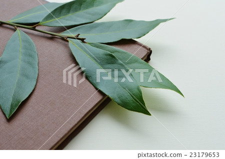 Laurie's leaves and old books 23179653
